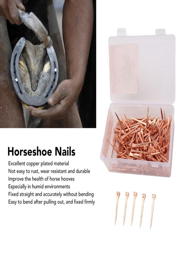 Jauarta 250Pcs Horseshoe Nails Copper Plated Rustproof Equestrian Riding Equipment Pet Supplies (51mm E5) - Image 5